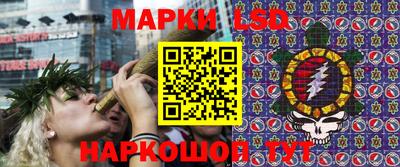 стафф Аргун