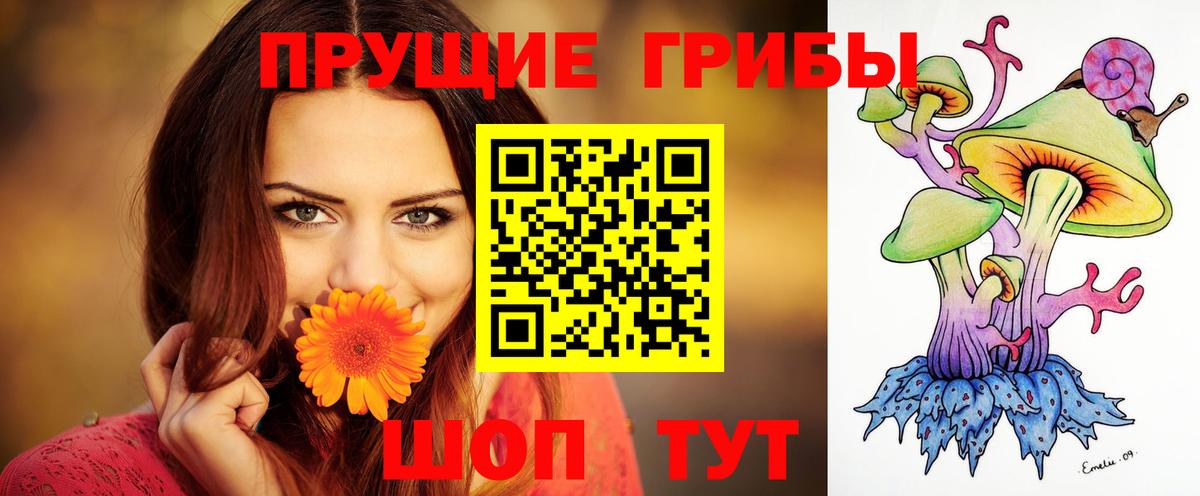 Галлюциногенные грибы Psilocybe  Вход с VPN  Галлюциногенные грибы ЛСД  Выкса 
