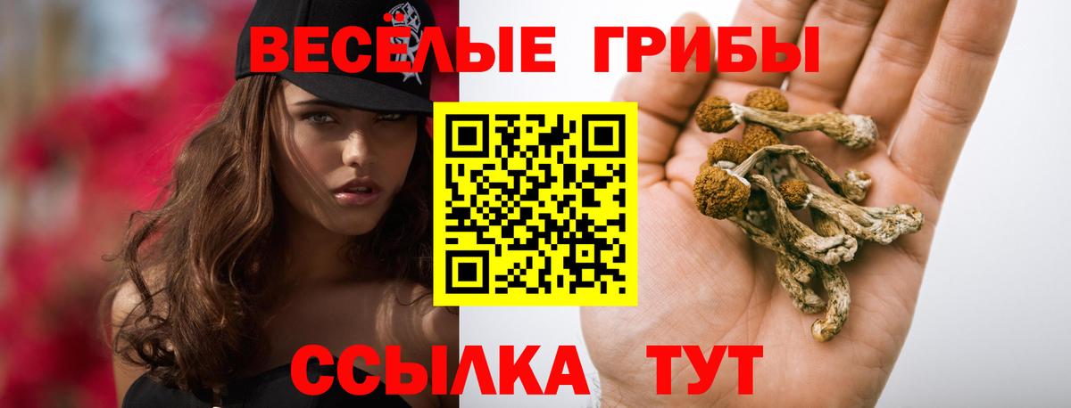 Псилоцибиновые грибы Psilocybine cubensis Выкса