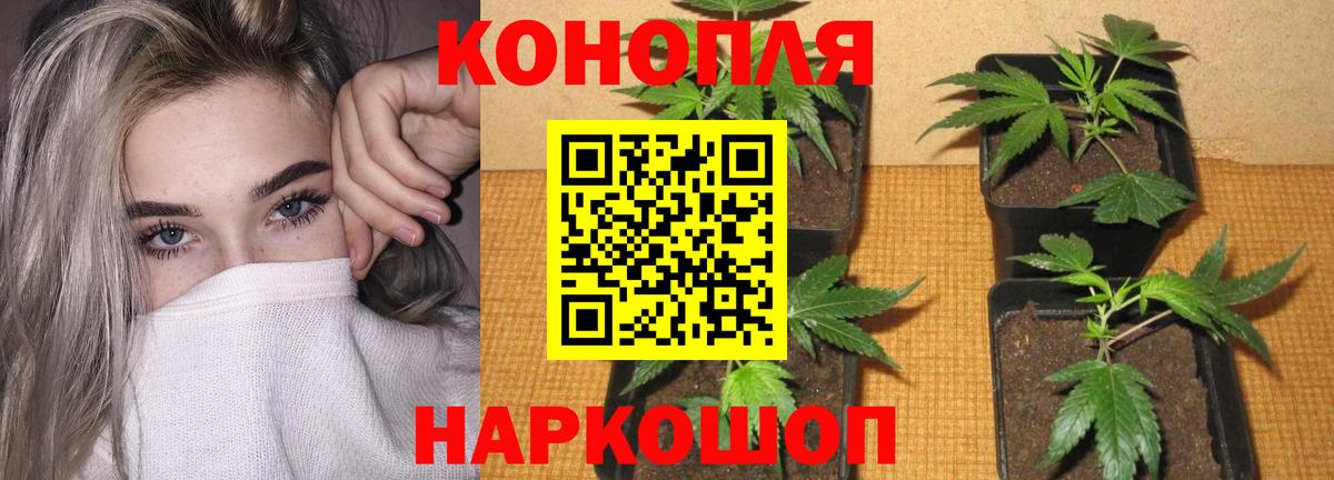Марихуана Ganja  Марихуана марихуана  Выкса  Вход с VPN  Бошки марихуана гибрид 
